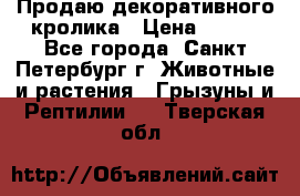 Продаю декоративного кролика › Цена ­ 500 - Все города, Санкт-Петербург г. Животные и растения » Грызуны и Рептилии   . Тверская обл.